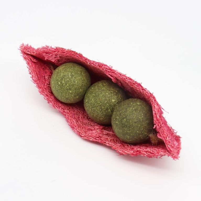 Peapod Loofah Cat Toy with Silvervine Catnip Balls