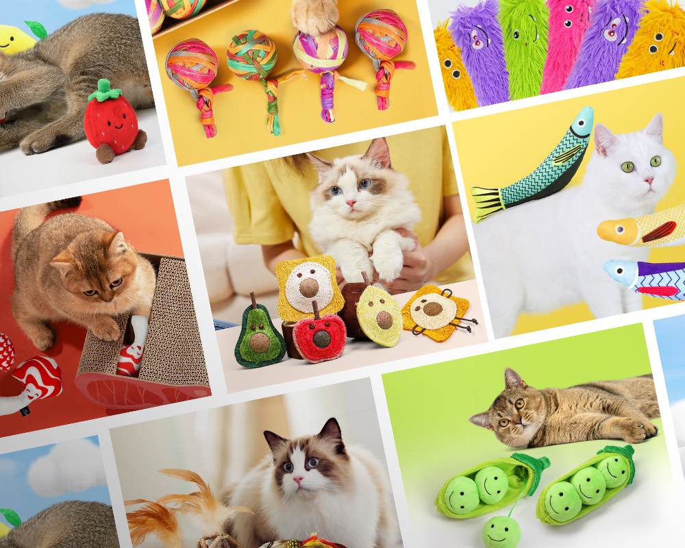 Cat Toy Supplier