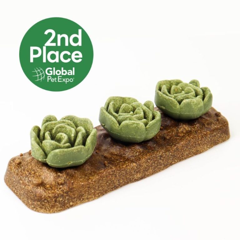 Salad Patch Veggie Burst Edible Small Animal Toy and Chew for Teeth