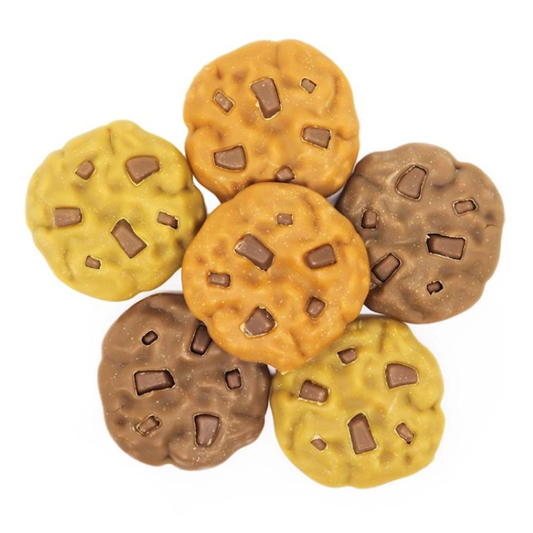 Carob Dog Cookies with Pumpkin and Chicken Bakery Dog Treats