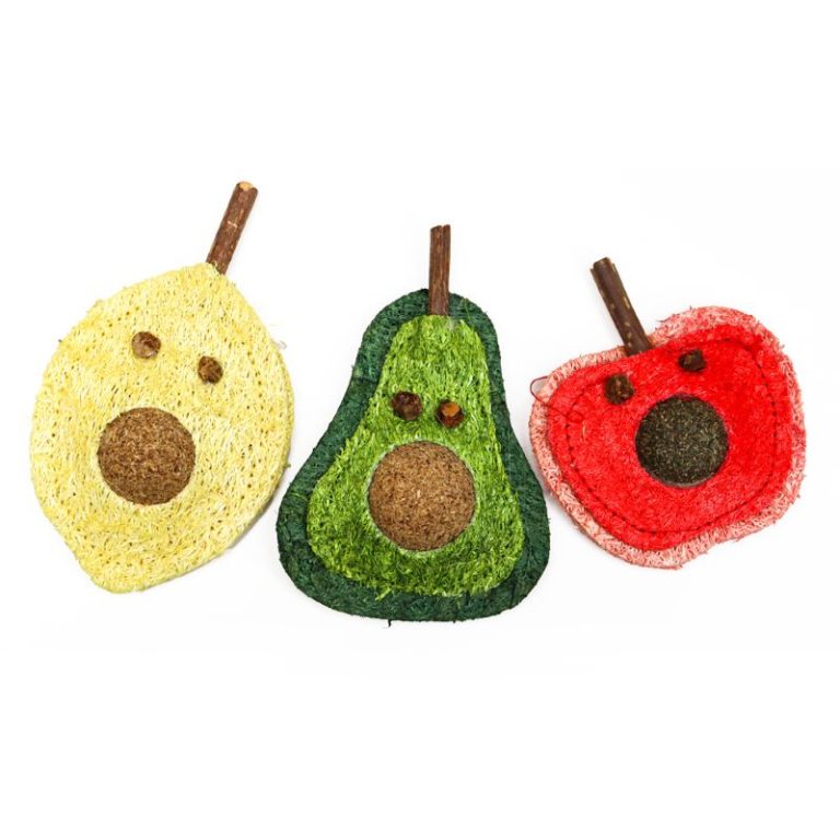 Fruit Shape Loofah Interactive Cat Toys with Catnip Ball and Silvervine Stick