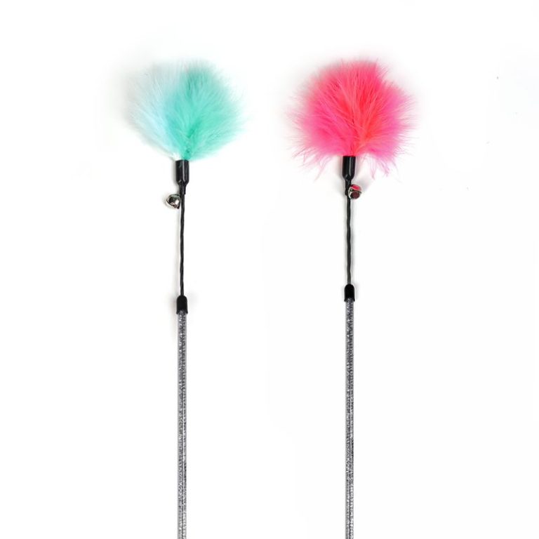 cat teaser wand