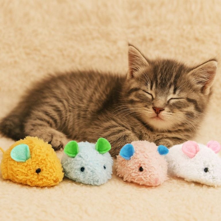 A focused cat enjoying playtime with a cat toy.
