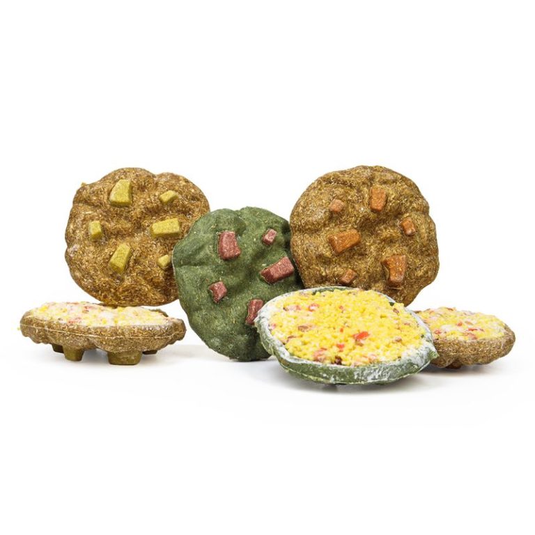 Hamster Cookie Chews Small Animal Toys and Treats