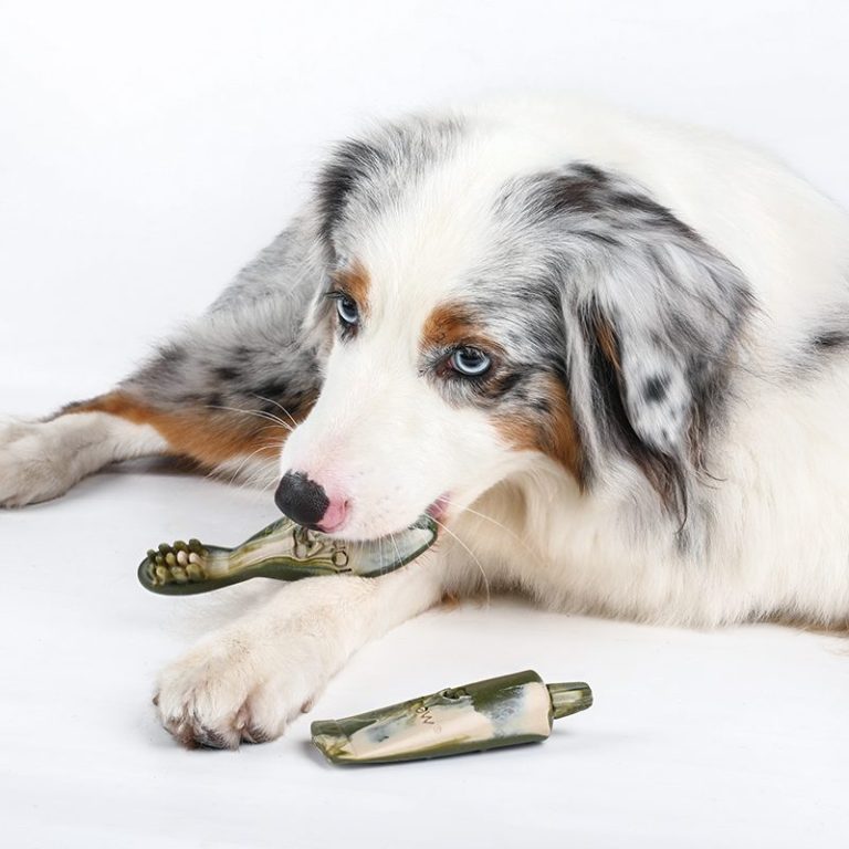 What Makes a Reliable Dog Treat Supplier? 4 Keys to Consistent Quality & Supply