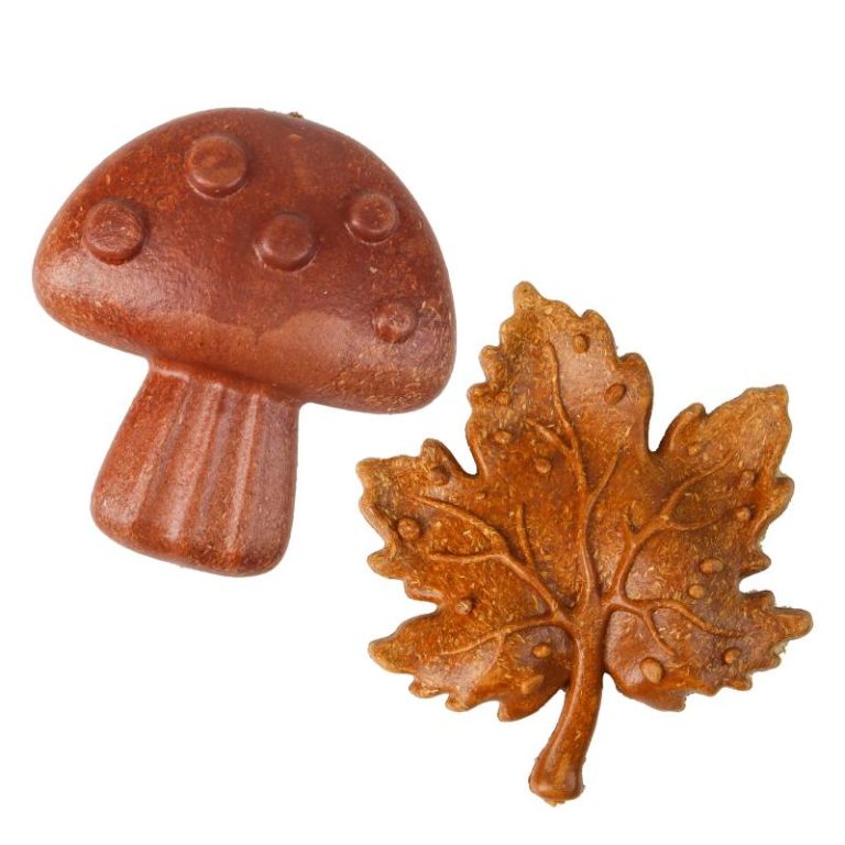 Maple Leaf & Mushroom Fall-Themed Small Animal Toys for Gnawing