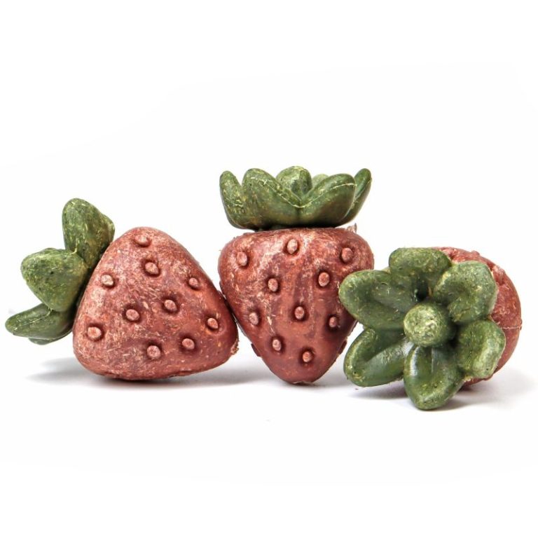 Nibble Strawberries Chinchilla Gerbil Rat Hamster Chew Toy