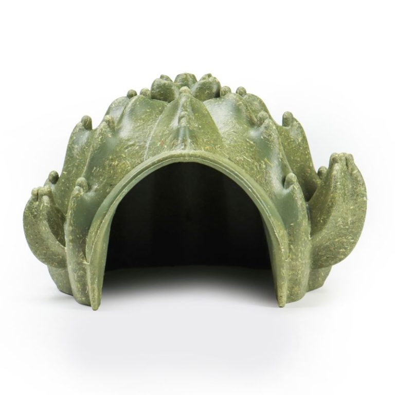 Edible Cactus Small Animal House Gerbil Mouse Hamster Hideout