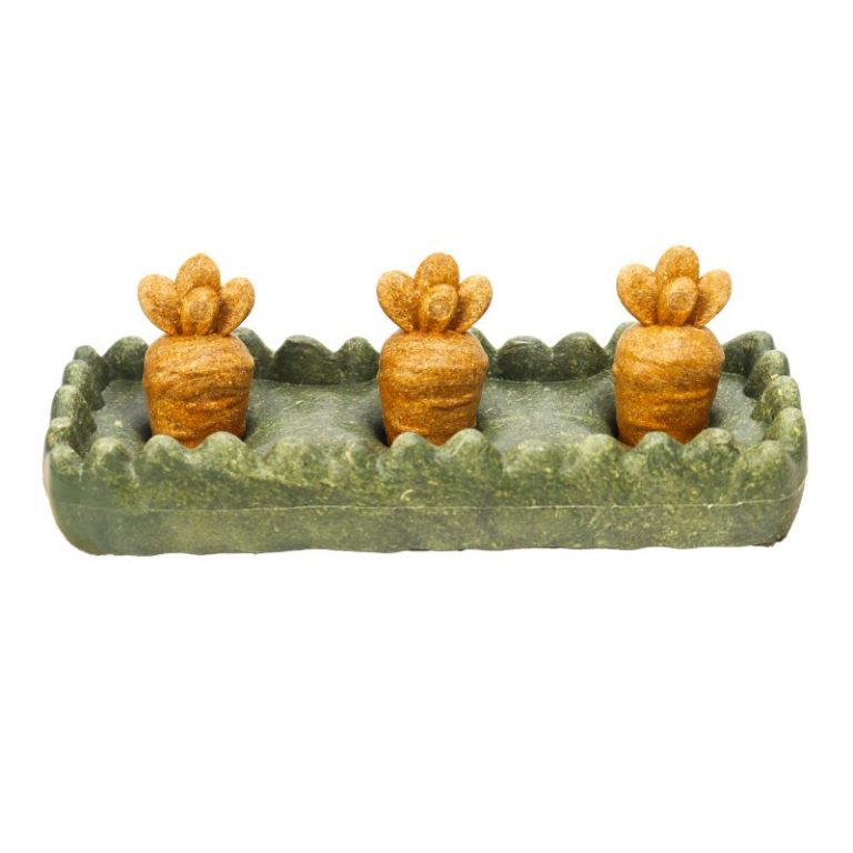 Carrot Patch Safe Gnawing Toys for Small Animals