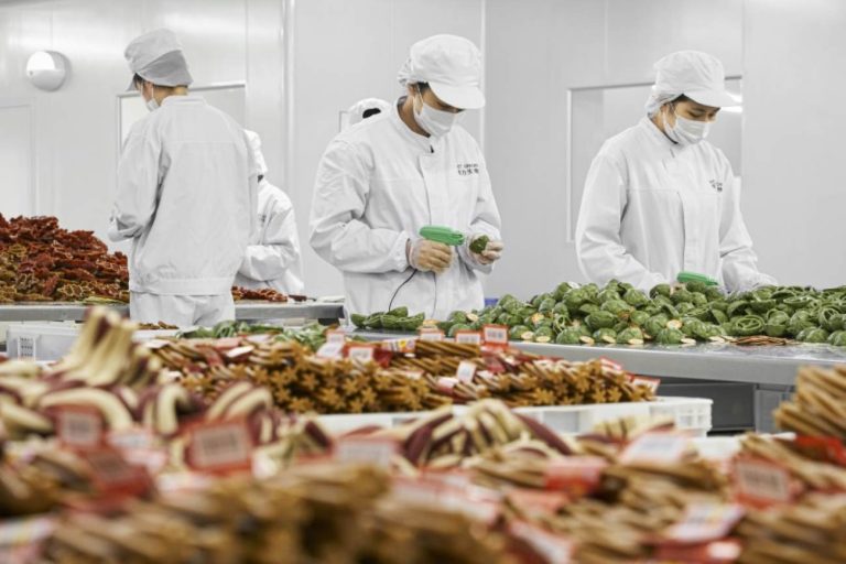 Meet ‘Pet Union’: Your Reliable Partner in Pet Products Manufacturing