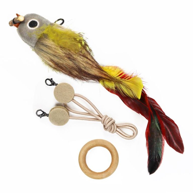 Interactive Feather Bird Cat Toy with Elastic String for Hanging