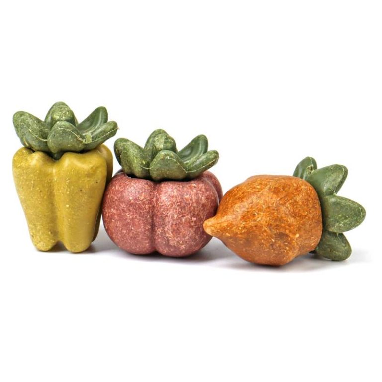 Nibble Fruit & Veg Small Animal Chew Toys, Natural Rodent Teeth Trimmer