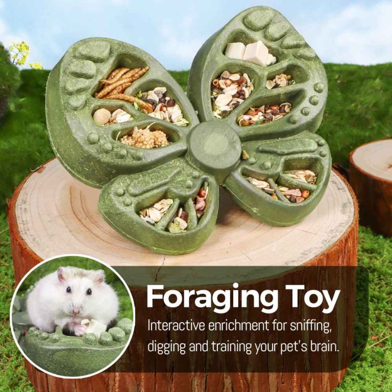 Rat Hamster Food Bowl with Foraging Fun: Encourages Natural Behavior