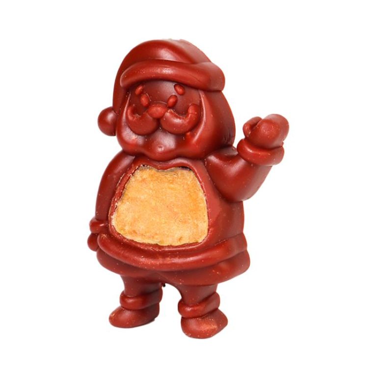 Santa dog treats Xmas