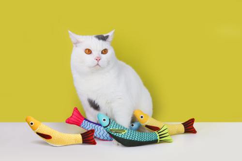 Wholesale Fish Kicker Cat Toy with Catnip | OEM & Private Label