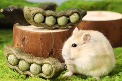 Nibble Peapods hamster boredom breaker