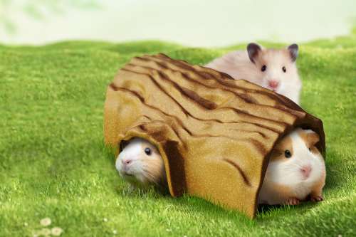 small animal log hideout