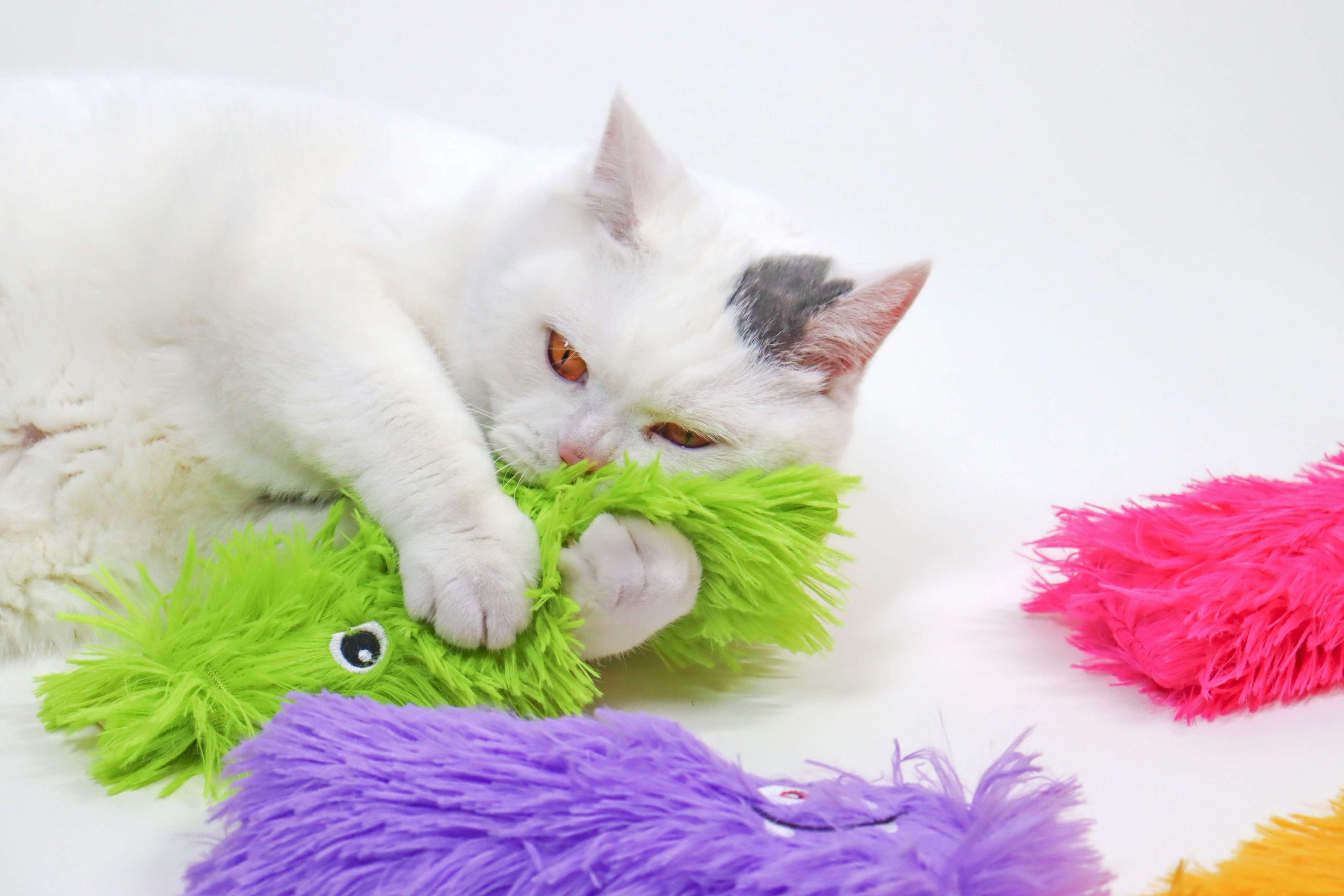 A cat actively playing with a cat toy