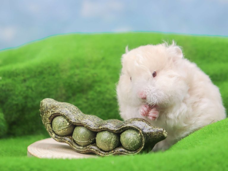 Safe & Fun Edible Chew Toy for Small Animal