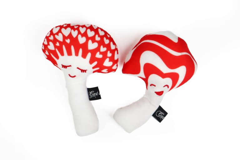 Mushroom Cat Kicker Toy with Silvervine