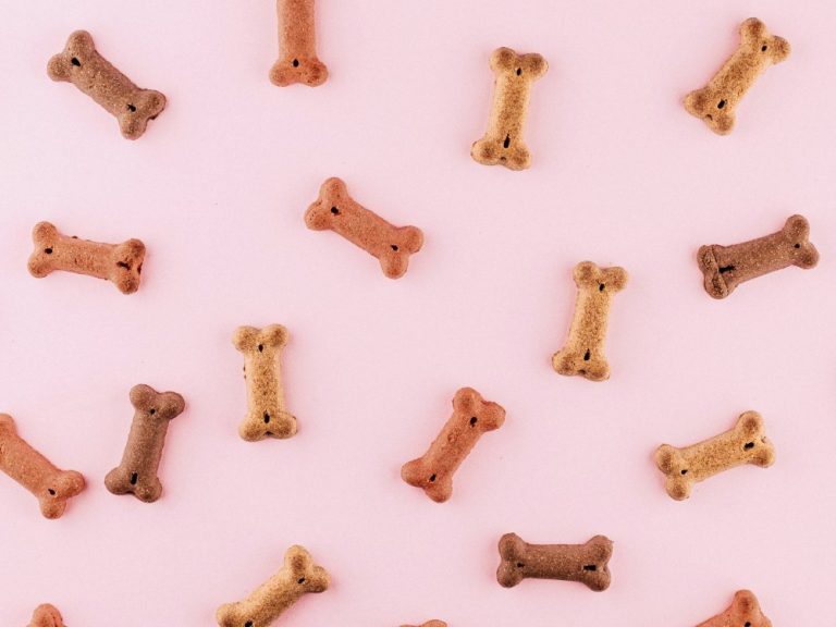 Functional Pet Treats: A Simple Guide for Pet Parents