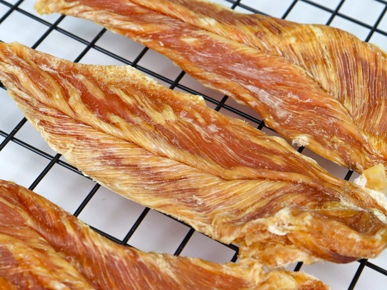 Why Slow Oven-Roasted Jerky Treats Are a Healthy Choice for Your Furry Friend