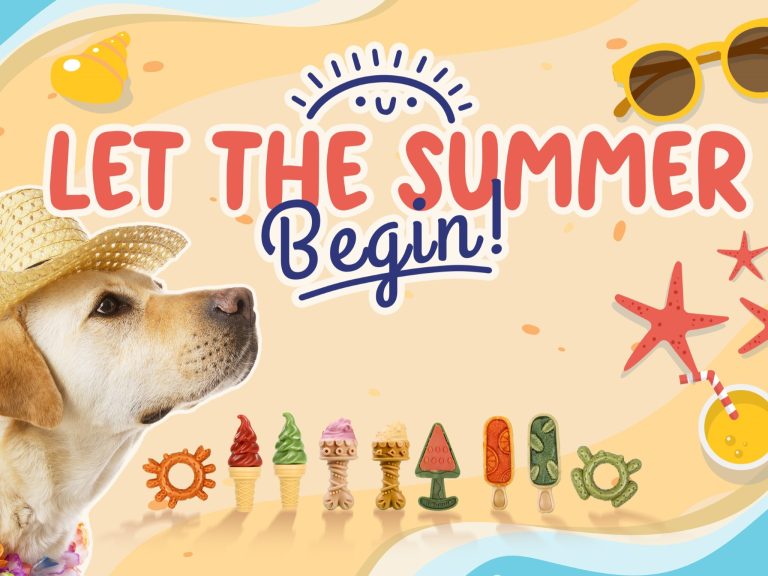 Beat the Heat with Pet Union Summer Event Dog Treats